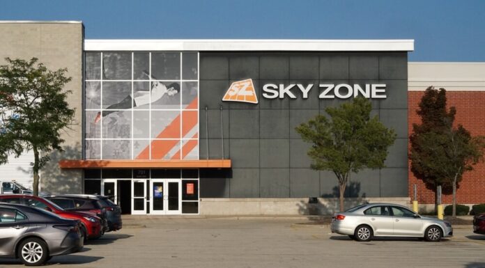 Who Owns Sky Zone? Sky Zone Franchise Group Details Who Owns Sky Zone? Sky Zone Franchise Group Details